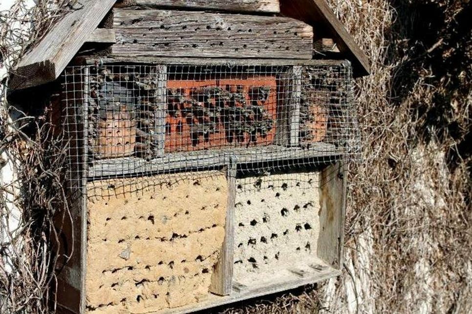 Insektenhotel