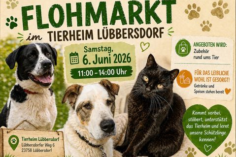 Flohmarkt im Tierheim