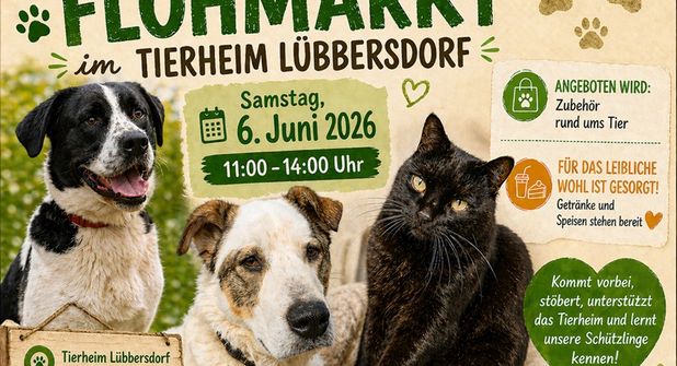 Flohmarkt im Tierheim