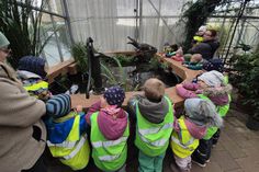 Die Kinder erkundeten die Pflanzenwelt mit dem angelegten Teich in der Gärtnerei Hamer.
