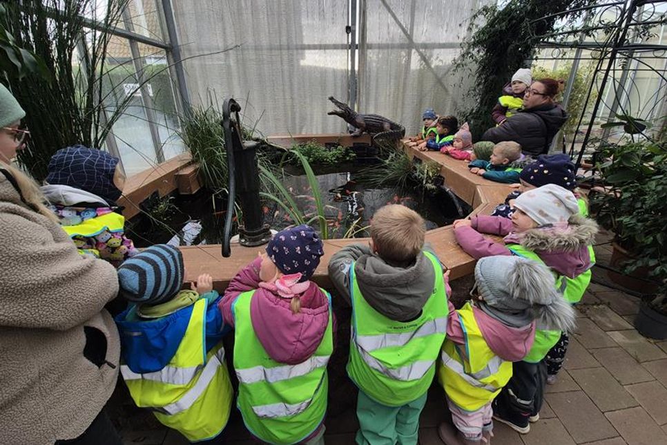 Die Kinder erkundeten die Pflanzenwelt mit dem angelegten Teich in der Gärtnerei Hamer.