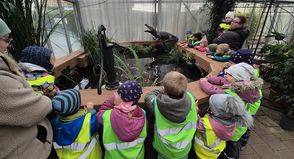 Die Kinder erkundeten die Pflanzenwelt mit dem angelegten Teich in der Gärtnerei Hamer.