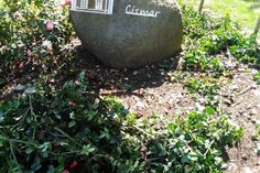 Wer hat etwas beobachtet?