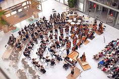 Das Oberstufenorchester der Rudolf Steiner Schule Berlin gibt am kommenden Dienstag ein Konzert im Brügmanngarten in Travemünde. (Foto: VA)