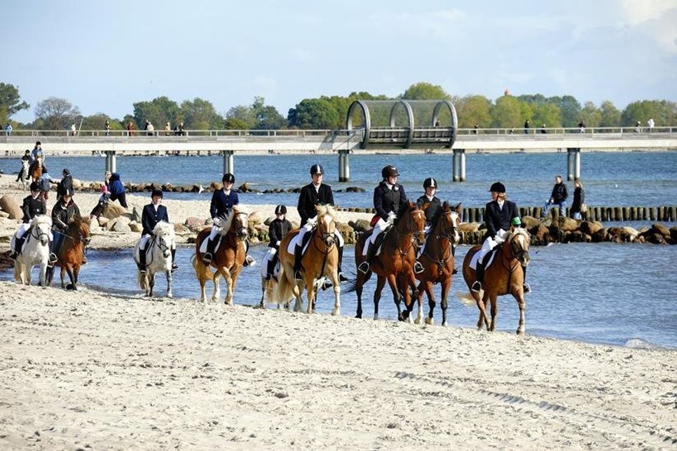 Der Hubertrus-Ausritt startet am Südstrand.