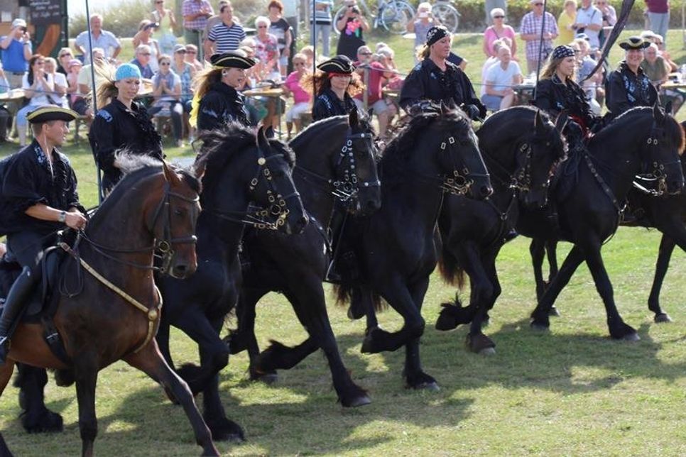 Bei der Pferdeshow sind bis zu 17 Schaubilder geplant.