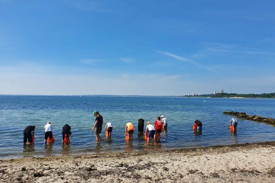 Die Kinder durften unter anderem mit Aquascopen den Meeresboden betrachten.