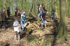 (Foto: Siegfried Marckmann)