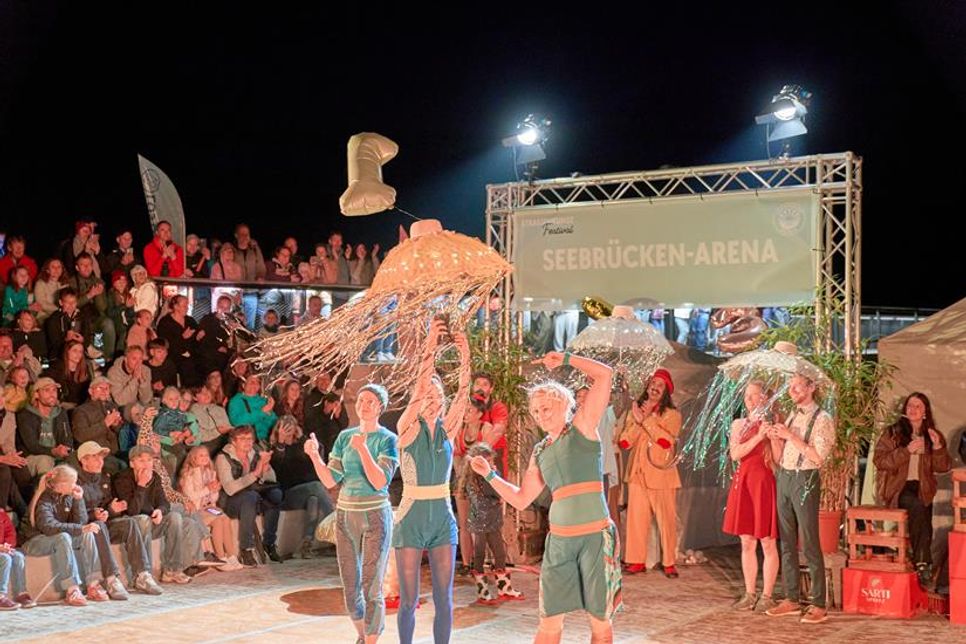 Den 1. Platz gewann das Luftakrobatik-Trio „Wise Fools“.