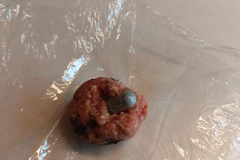 Mehrere präparierte Hackbällchen wurden am Wegesrand in der Straße zum Vossberg gefunden.