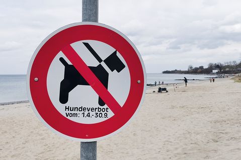 Hunde- und Pferdefreier Strand