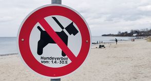 Hunde- und Pferdefreier Strand