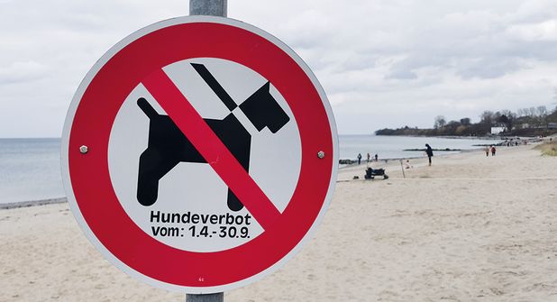 Hunde- und Pferdefreier Strand