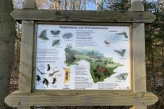 Informativ mit Wissenswertem über die Waldbewohner sind die Tafeln am Wegesrand.