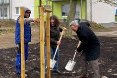 Marcel Sonntag, Vorstandsvorsitzender der „Neue Lübecker“ (re.) und Sarah Schmahl, ServiceCenter-Leiterin Lübeck, legten selbst Hand an, um den Gravensteiner Apfelbaum an Ort und Stelle richtig zu platzieren.