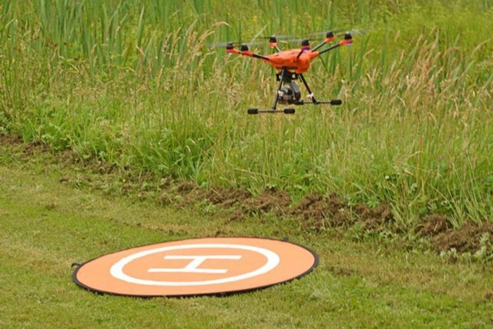 Drohne mit Wärmebildkamera startet zur Kitzsuche.
