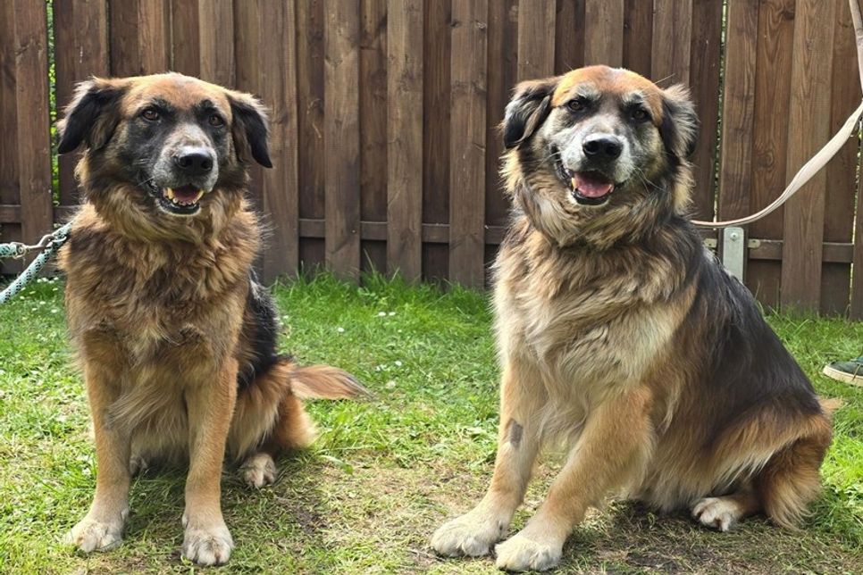 „Ben“ und „Mina“ sind eng miteinander verbunden.