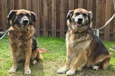 „Ben“ und „Mina“ sind eng miteinander verbunden.