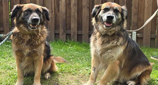 „Ben“ und „Mina“ sind eng miteinander verbunden.