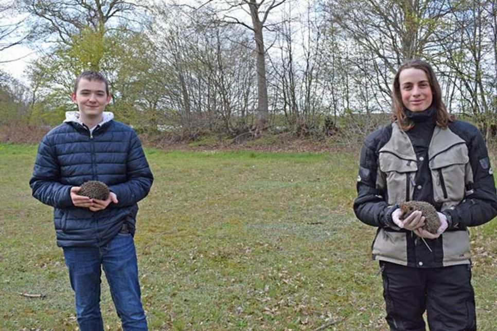 Nicodemus Heßler (li.) und Bero Mattson engagieren sich als ehrenamtliche Helfer im Wildtierheim