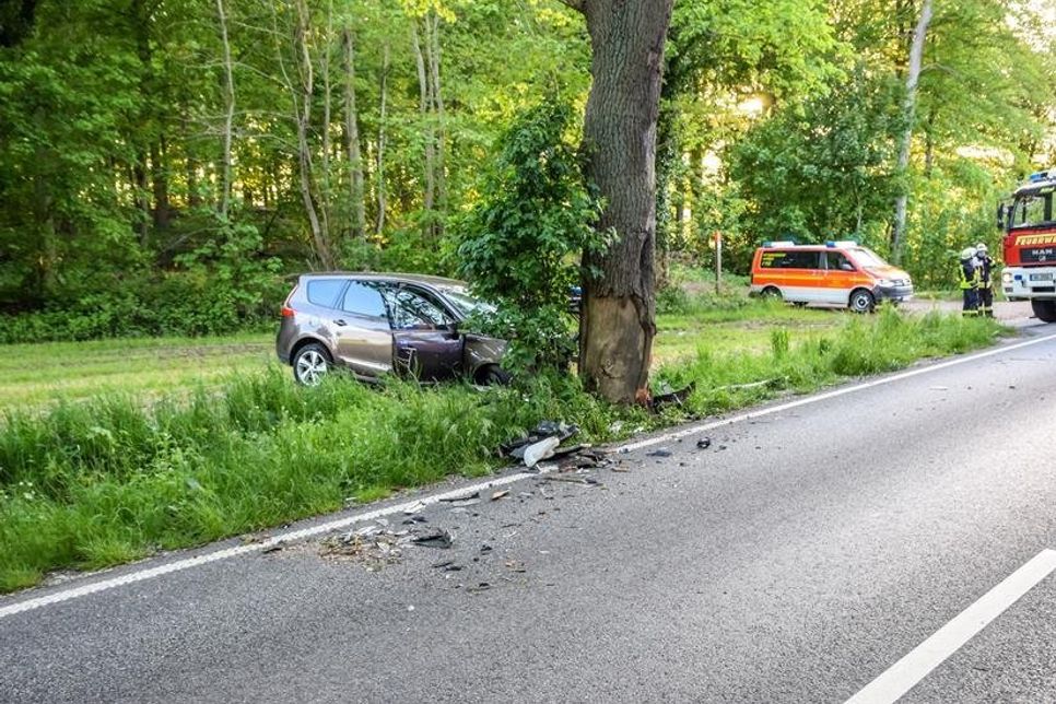 Der Einschlag mit dem Van, einen Renault Scenic war heftig, sogar die Rinde vom Baum war abgesprungen. (Foto: Arne Jappe)