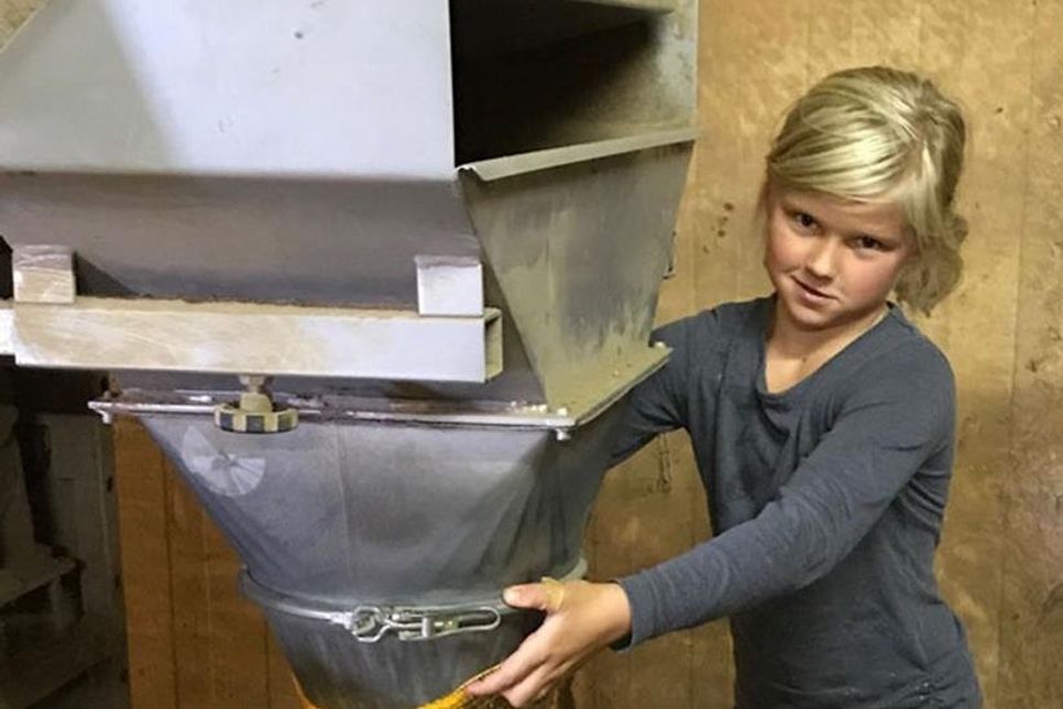 An der Kartoffelwaage: Leni hält den Sack fest und fängt damit die Kartoffeln auf.