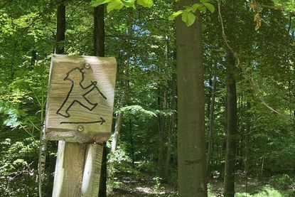 Heute, am 14. Mai, ist Tag des Wanderns – und „der reporter“ hat die passenden Tourentipps aus der Region.
