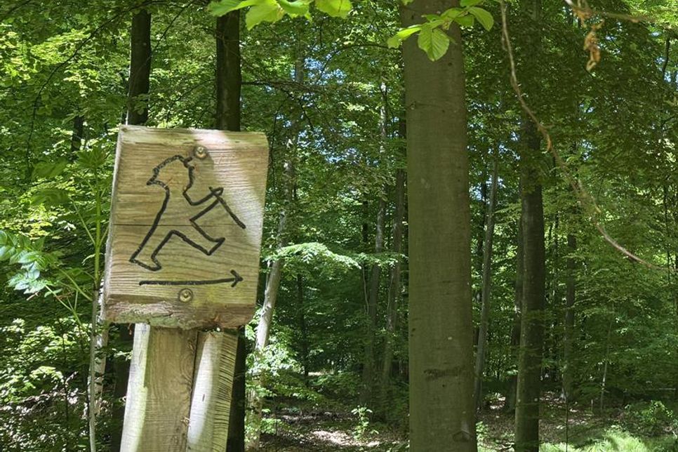 Heute, am 14. Mai, ist Tag des Wanderns – und „der reporter“ hat die passenden Tourentipps aus der Region.
