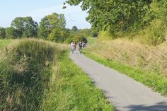Rushhour auf dem Radweg. Ob im Alltag oder in der Freizeit: Auf dem Workshop werden vor allem Anregungen und Ideen rund um das Radverkehrsnetz im gesamten Gemeindegebiet gesammelt.