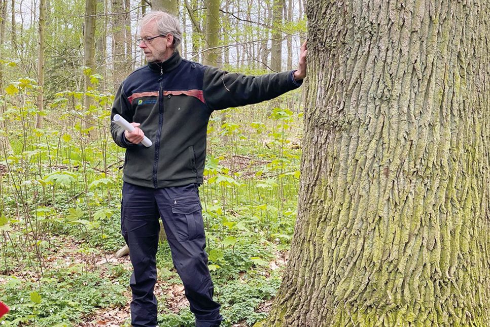 Der Gemeinnützige Bürgerverein Bad Schwartau lädt zur Waldwanderung mit Förster Karsten Tybussek ein.