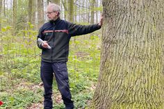 Der Gemeinnützige Bürgerverein Bad Schwartau lädt zur Waldwanderung mit Förster Karsten Tybussek ein.