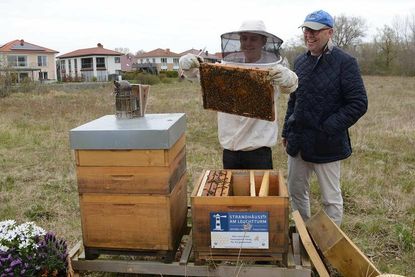 Imker Björn Schumann (lks.) überzeugt Bienenpaten Christian Schwerin, geschäftsführender Gesellschafter der Strandhäuser am Leuchtturm davon, wie friedvoll seine Bienenvölker sind, sodass er sich sogar ohne Imkerhut problemlos nähern kann.