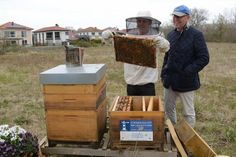 Imker Björn Schumann (lks.) überzeugt Bienenpaten Christian Schwerin, geschäftsführender Gesellschafter der Strandhäuser am Leuchtturm davon, wie friedvoll seine Bienenvölker sind, sodass er sich sogar ohne Imkerhut problemlos nähern kann.