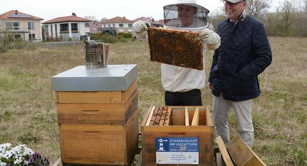 Imker Björn Schumann (lks.) überzeugt Bienenpaten Christian Schwerin, geschäftsführender Gesellschafter der Strandhäuser am Leuchtturm davon, wie friedvoll seine Bienenvölker sind, sodass er sich sogar ohne Imkerhut problemlos nähern kann.