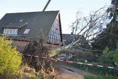 Vom äußersten Friedhofsrand ist der rund 20 Meter hohe Baum aufs Rathausdach gekippt.