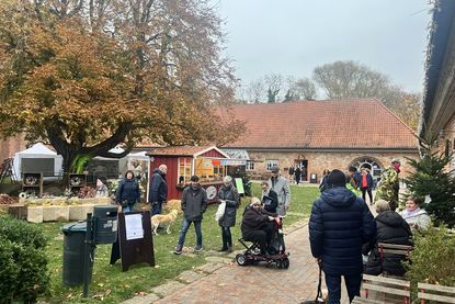 Musik, Handwerk und kulinarische Leckereien machten den Martinsmarkt zu einem besonderen Erlebnis.