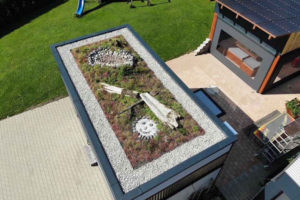 Mehr Grün für die Stadt: Flachdächer lassen sich in kleine Biotope verwandeln.