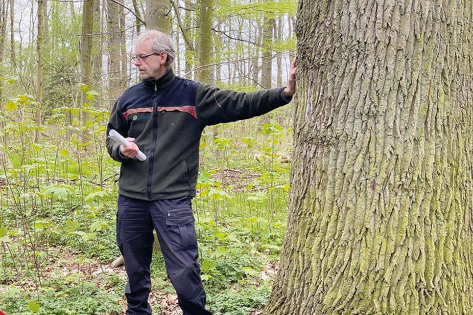 Förster Karsten Tybussek in seinem Element. Auf die Waldspaziergänger wartet ein kurzweiliger, unterhaltsamer und sehr informativer Spaziergang.