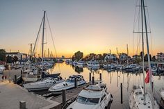Im malerischen Niendorfer Hafen finden am kommenden Freitag und Samstag die HafenKonzerte bei freiem Eintritt statt.