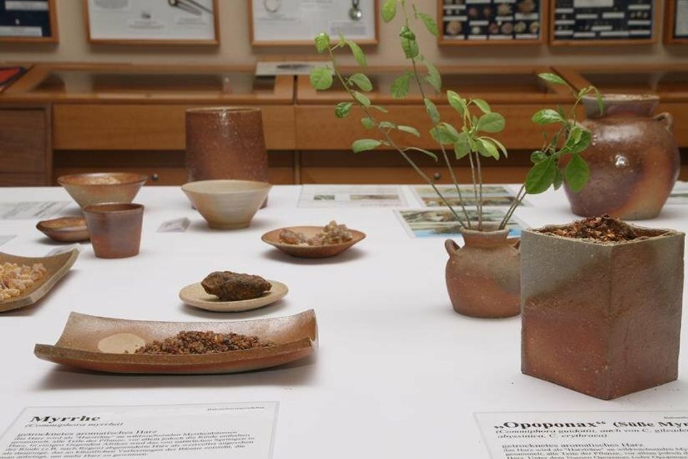 Die Sonderausstellung ist noch bis zum 6. Januar zu besichtigen.