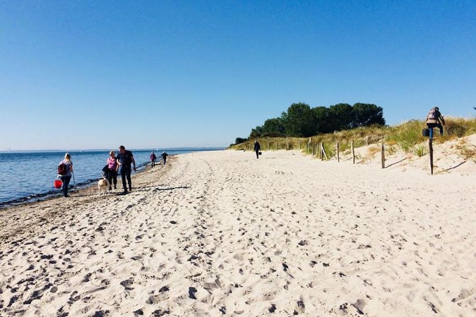 Helfer der Strandmüll-Sammelaktion im vergangenen Jahr in Pelzerhaken.