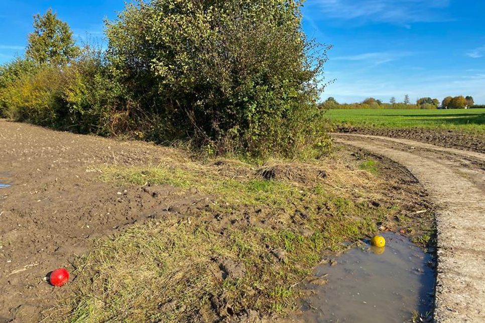 Hindernisse wie Kurven oder unebene Wege machen das Spiel besonders herausfordernd und spannend.