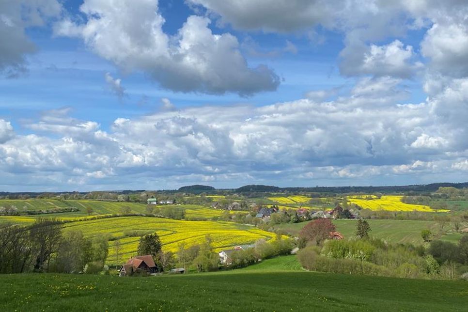 Hügel und Himmel, Wolken und Weite – so lieben wir unser Ostholstein. Dieses stimmungsvolle Foto, aufgenommen von Sabine Porath, zeigt die Schönheit der Region am Gömnitzer Berg.
