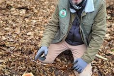 Pilz-Coach Sven Grabowski erklärt die spannende Welt der Pilze.