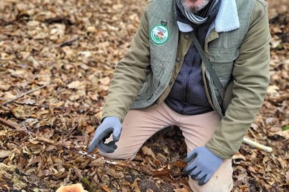Pilz-Coach Sven Grabowski erklärt die spannende Welt der Pilze.