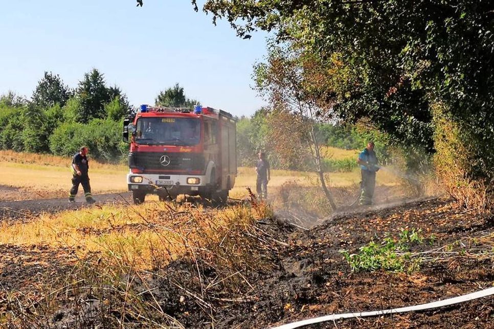 Foto: Freiwillige Feuerwehr Neustadt.