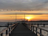 Vogelzug, Sonnenuntergang und Seebrücke, ein Klassiker, der immer wieder begeistert und von Janine Ufer geschickt wurde.
