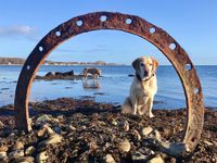 Wenn das kein Glück bringt! Sandra Müller hat ein gefundenes Hufeisen kunstvoll mit ihrem Vierbeiner Hilde in Szene gesetzt.