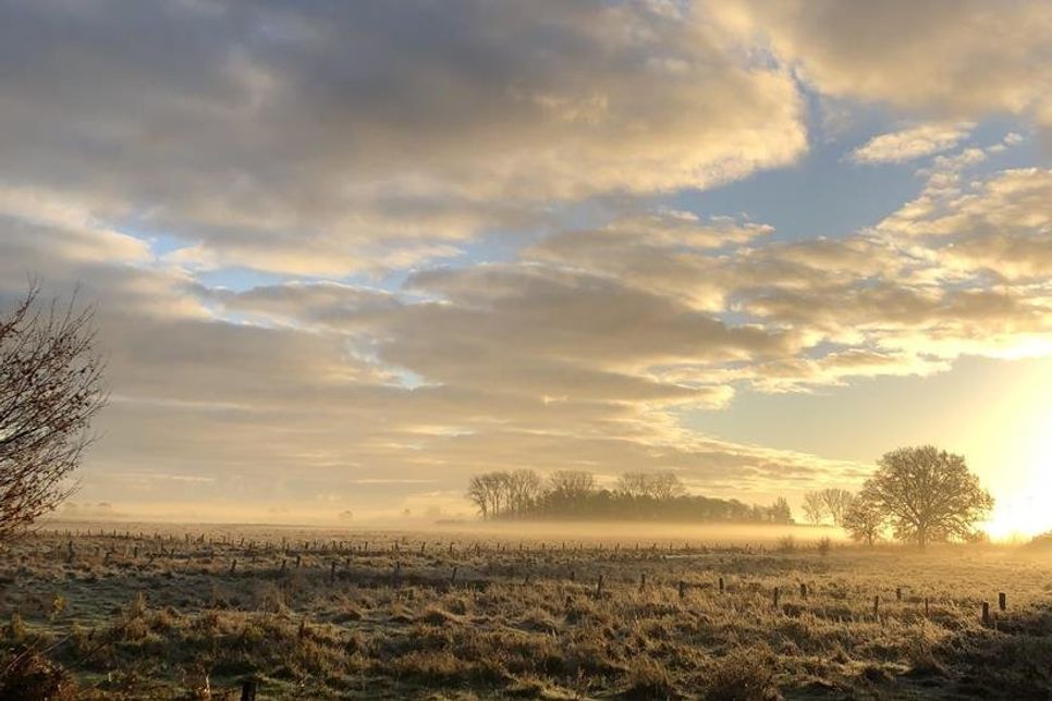 Diese traumhafte Morgenstimmung hat Ute Schmidt im Schaarweg mit Blick über die Rettiner Wiesen fotografiert.