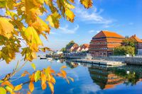 Der Shootingstar bei Instagram war Bettina Kühls Aufnahme vom herbstlichen Neustadt. Das Foto wurde über 170 Mal gelikt.